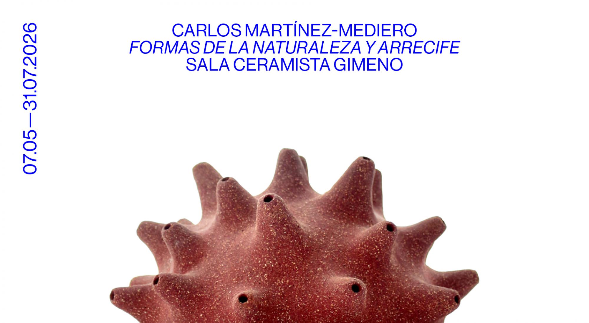 FORMAS DE LA NATURALEZA Y ARRECIFE